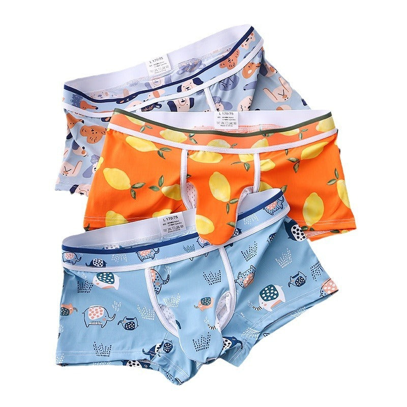 Sexy Men's Underwear Boxers