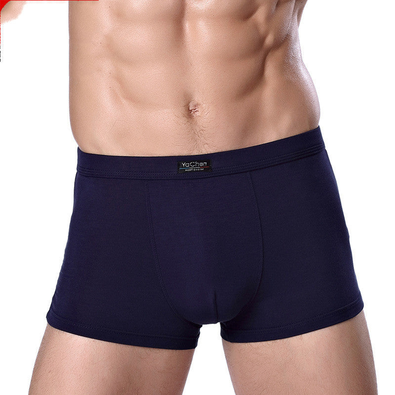 Herrunderkläder Herrboxershorts i bambufibermodal