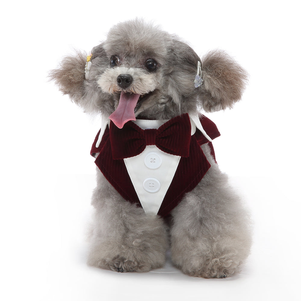 Fournitures pour animaux de compagnie Vêtements Robe pour chien Tuxedo