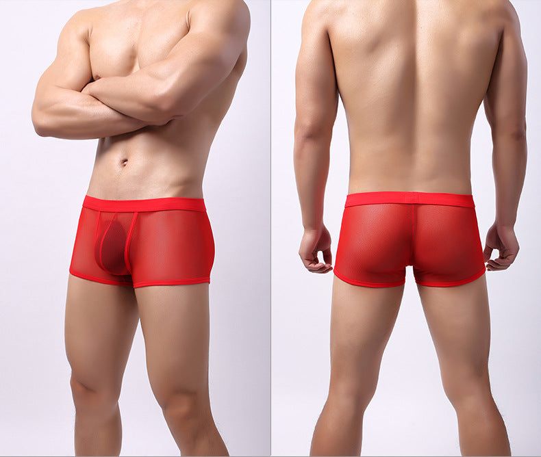 Men's Underwear Mesh Breathable Boxers Low Waist Transparent Boxers Youth Cool Shorts