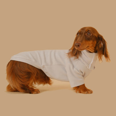 Manteau de base pour animaux de compagnie, vêtements pour chiens teckel