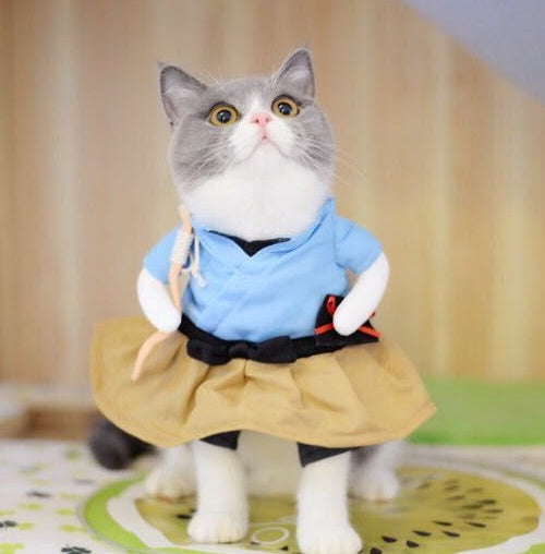 Costume de chat drôle, uniforme, vêtements pour chat, vêtements pour chiot, vêtements de fête pour chat, vêtements de Cosplay