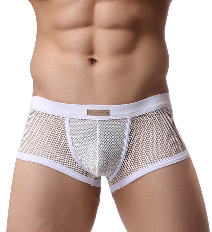 Men's Underwear Sexy Men's Boxer Pants Large Mesh Breathable