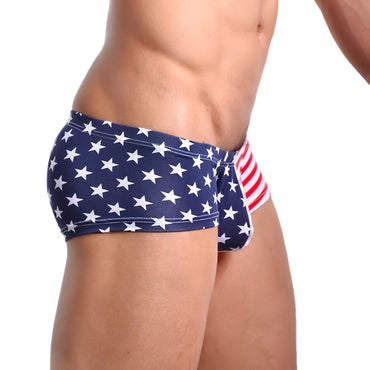 Flag Printed Shorts