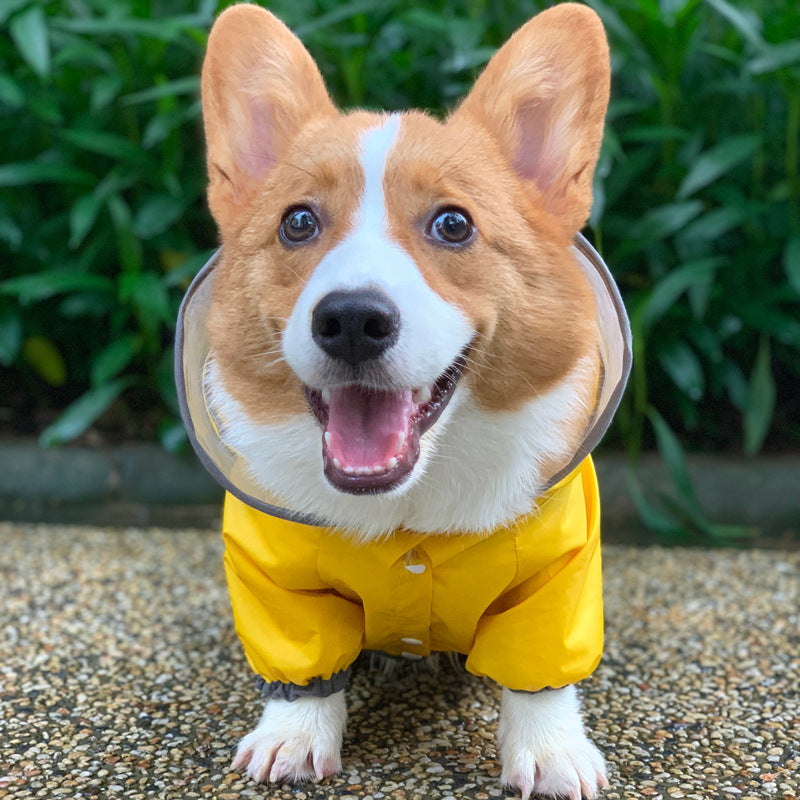 Manteau imperméable pour chien, vêtements imperméables à quatre pattes pour animaux de compagnie