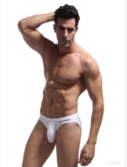 Men's Underwear Briefs - Professional Design