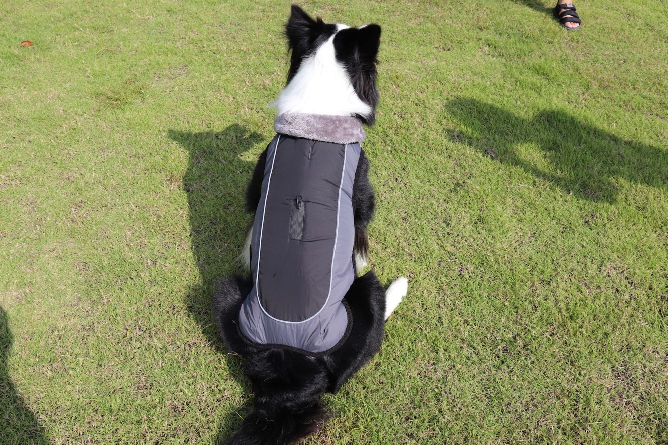 Thickened Dog Padded Jacket Reflective Dog Clothes
