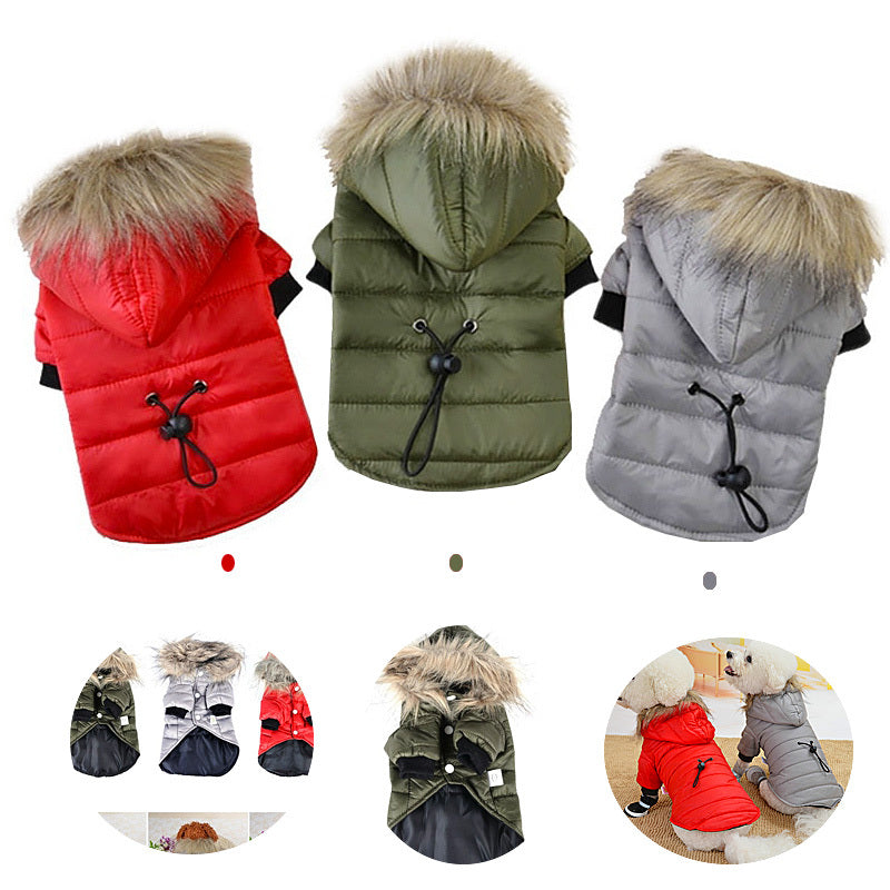 Vêtements pour animaux de compagnie automne et hiver pull pour animaux de compagnie Teddy