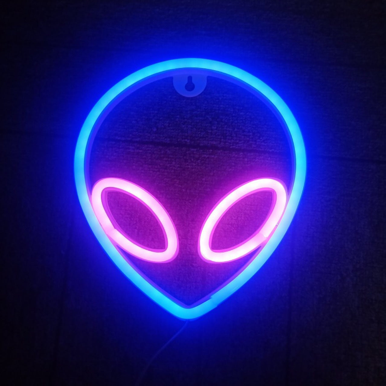 LED Wall Hanging Neon Model Light