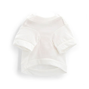 vêtements pour animaux de compagnie