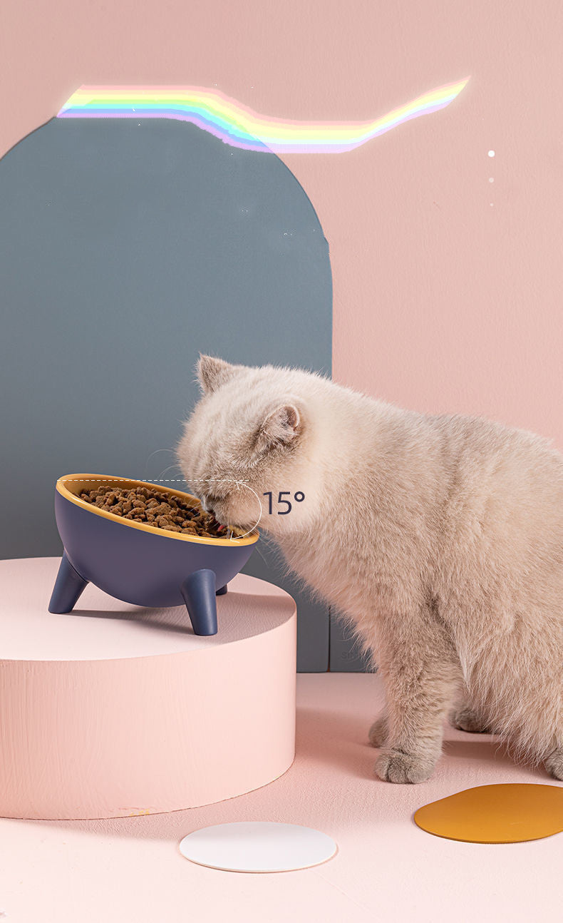 Bol pour chien et chat avec support, alimentation pour animaux de compagnie, bols pour chiens, lapin, couleur nordique, fournitures de produits, accessoires pour animaux de compagnie