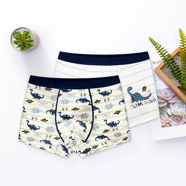 Sous-vêtements pour garçon Boxer Coton Sous-vêtements pour enfants