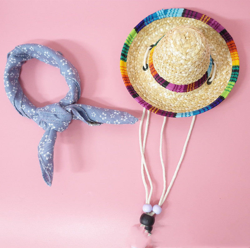 Ensemble d'accessoires pour animaux de compagnie, sortie d'été