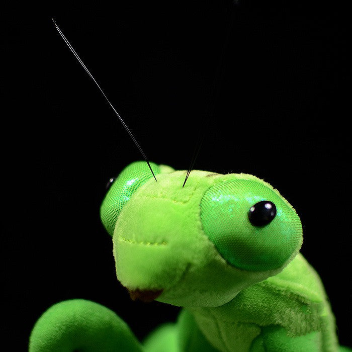 Lifelike Mantis Plush Toys - Cuddly Stuffed Animals for Kids