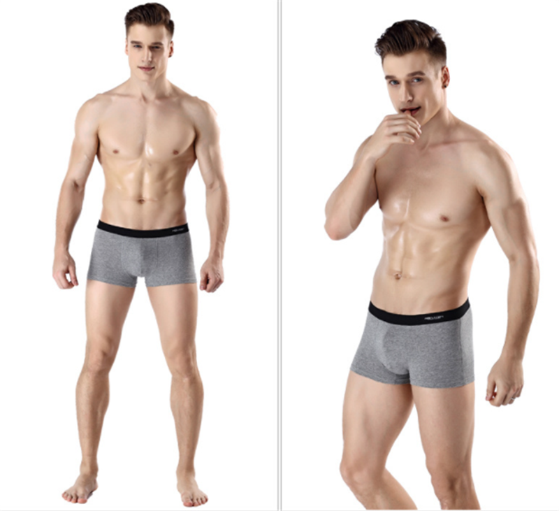 Sous-vêtements pour hommes de l'Antarctique Sous-vêtements Zhongshan