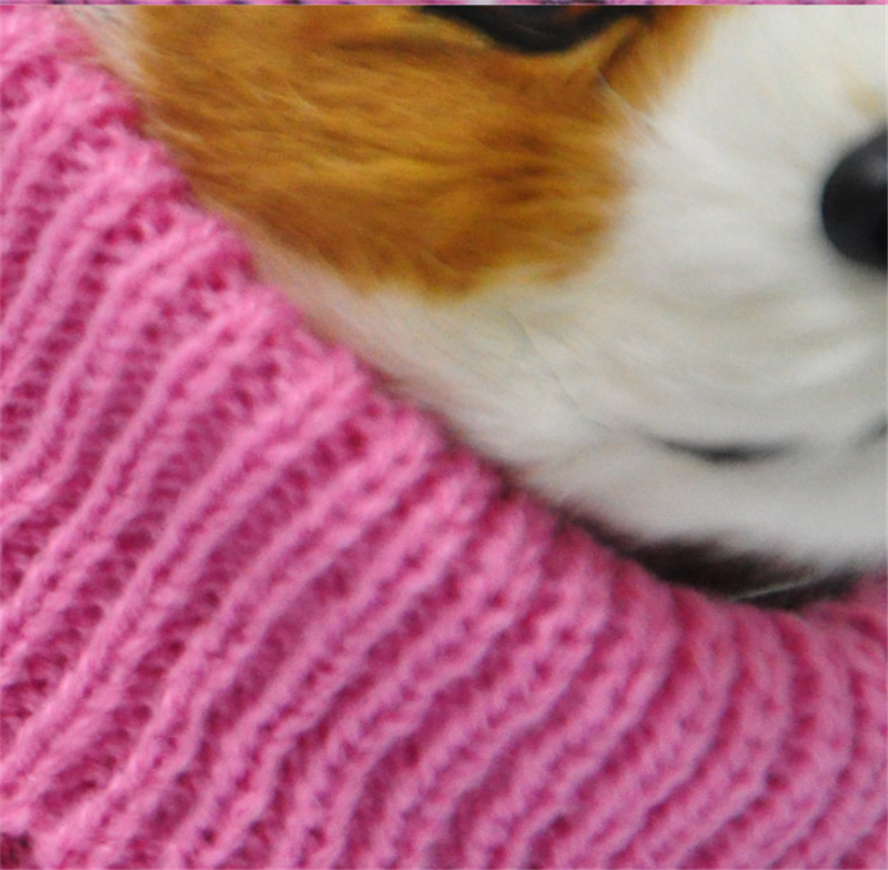 Vêtements pour animaux de compagnie Vêtements Pull pour chien