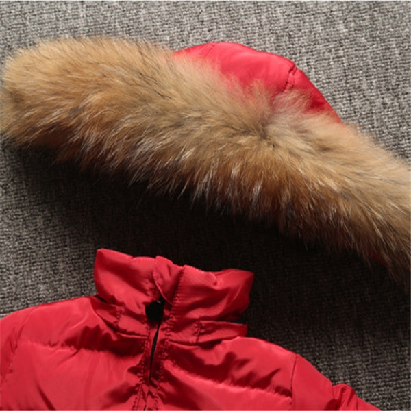Siamesisk dunjacka