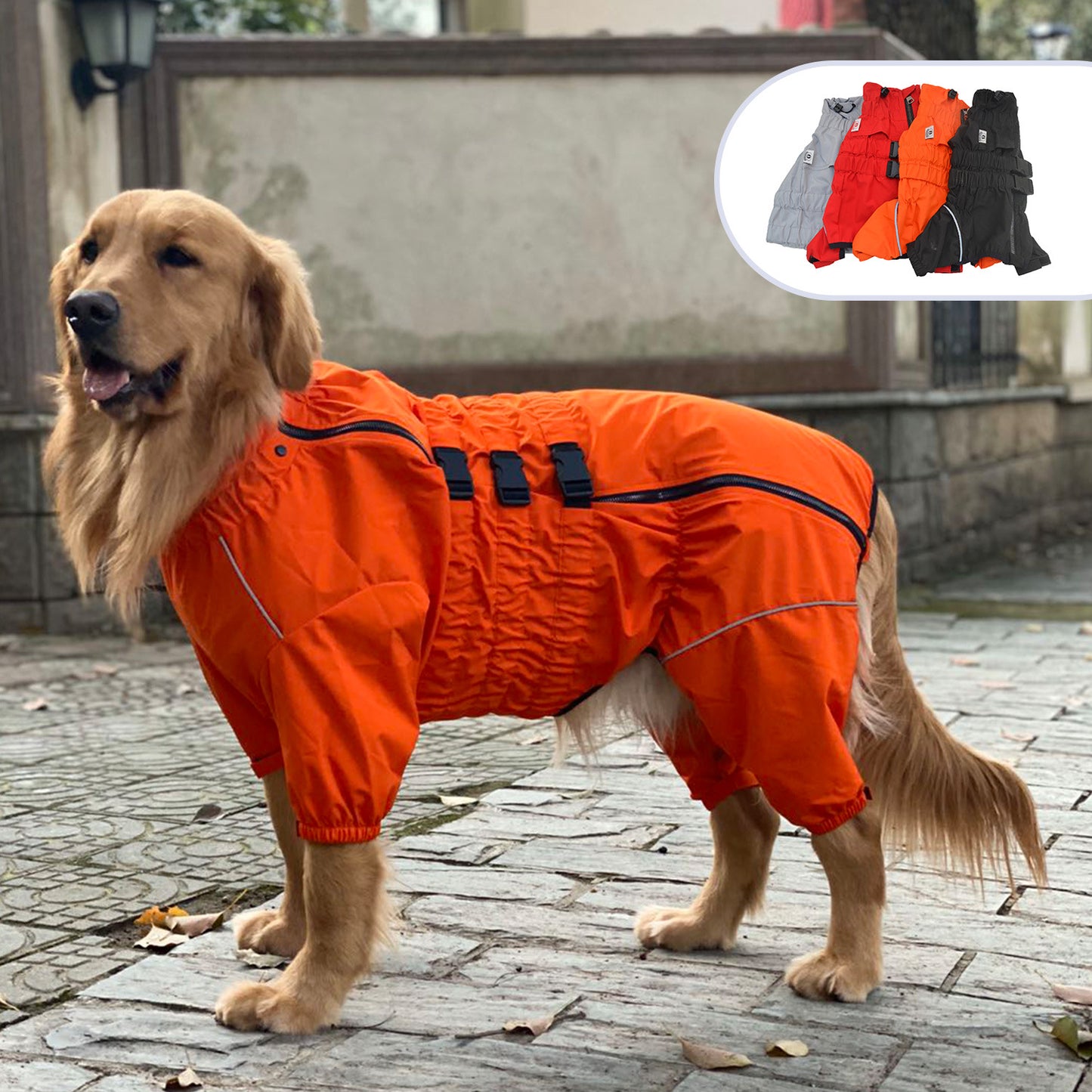 Vêtements imperméables pour animaux de compagnie à quatre pattes pour chien