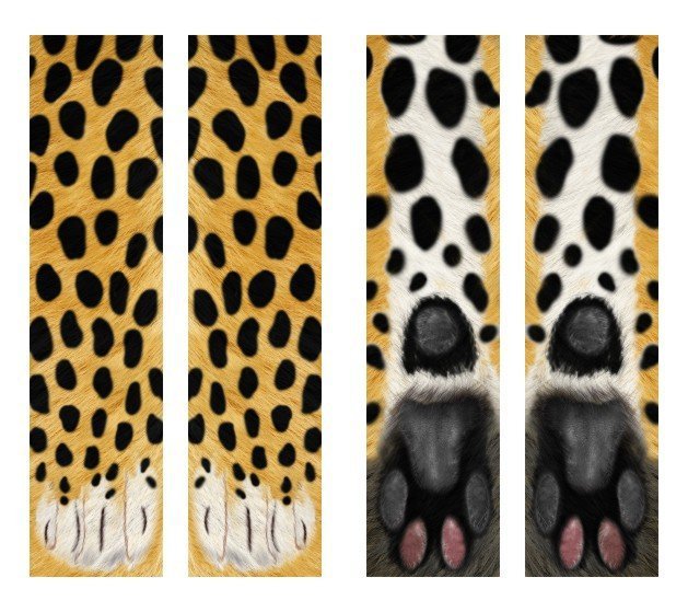 3D Djurtassstrumpor Söta kattklostrumpor Unisex långa strumpor