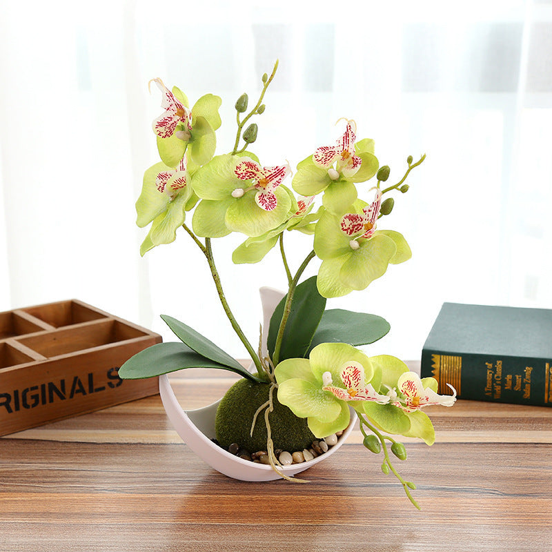 Decorative Plants