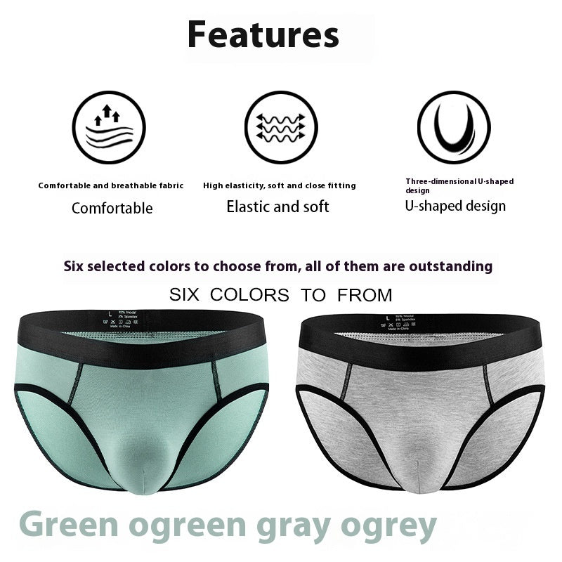 Men's Panties Low Waist Briefs