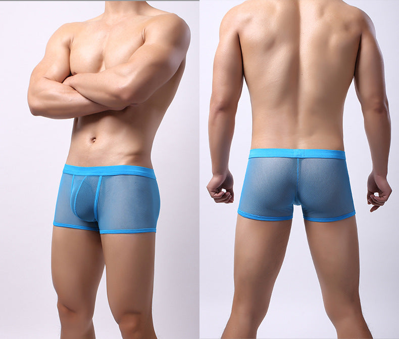 Men's Underwear Mesh Breathable Boxers Low Waist Transparent Boxers Youth Cool Shorts