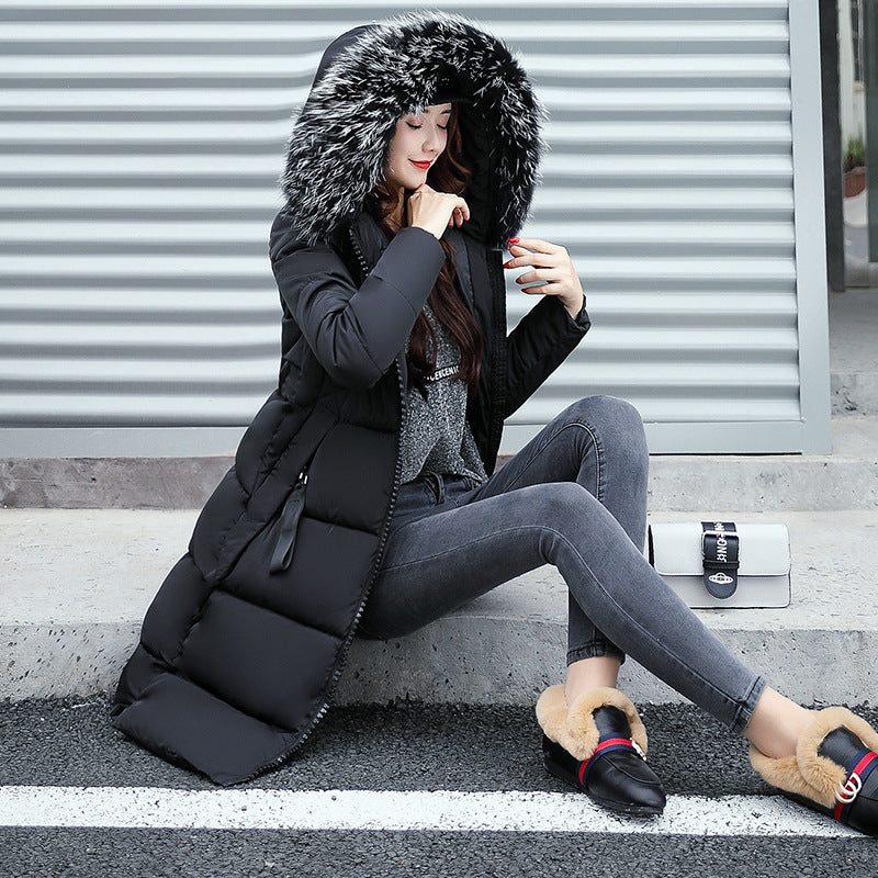 Long Cotton Jacket Hooded Big Fur Collar Down Jacket - Medium Length Casual Slim Fit Fox Hair