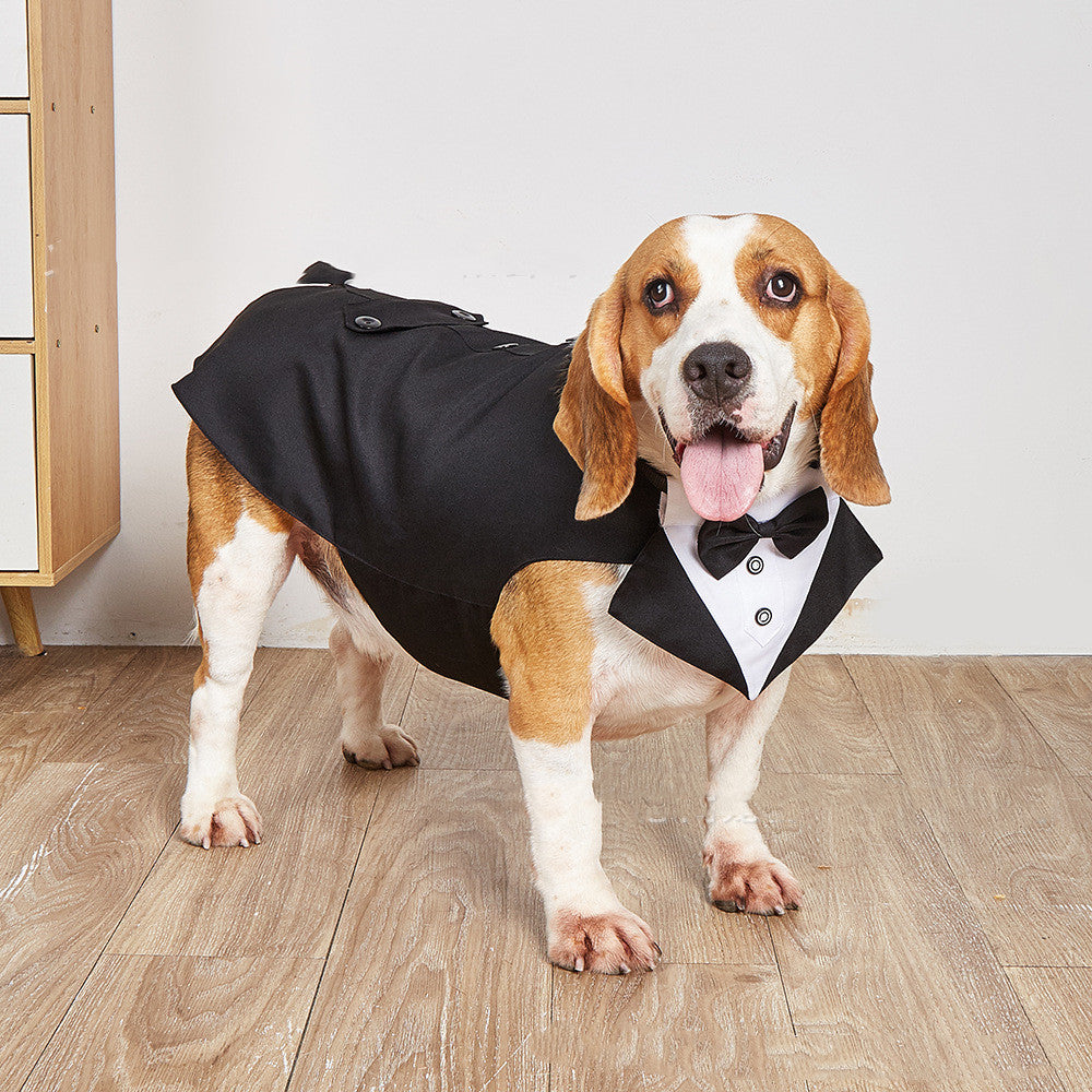 Veste de costume de vêtements de mariage pour animaux de compagnie pour chiens