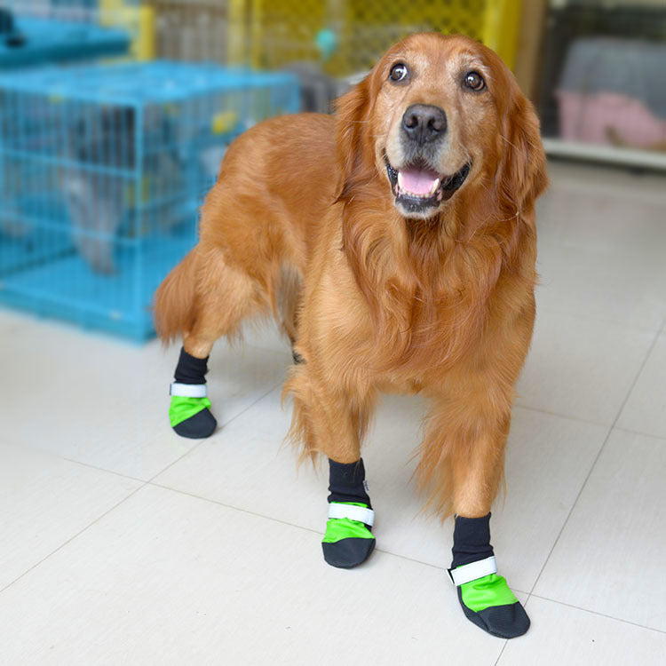 Super Tear-Resistant Oxford Pet Shoes