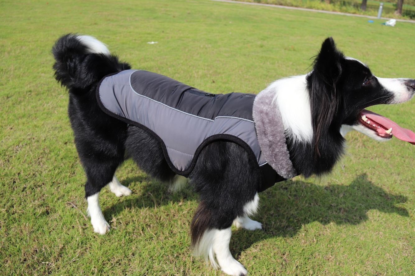 Thickened Dog Padded Jacket Reflective Dog Clothes