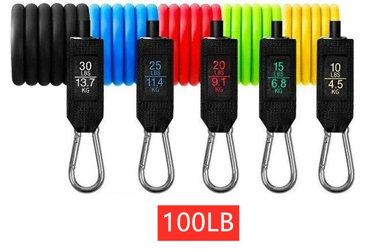 Professional Portable Fitness Rally - Complete Resistance Band System (5 Bands, 10-30 lbs, 1.2m Length)