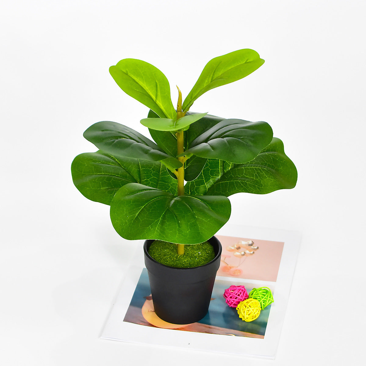 Nordic Style Potted Plants And Green Plants For Home Decoration