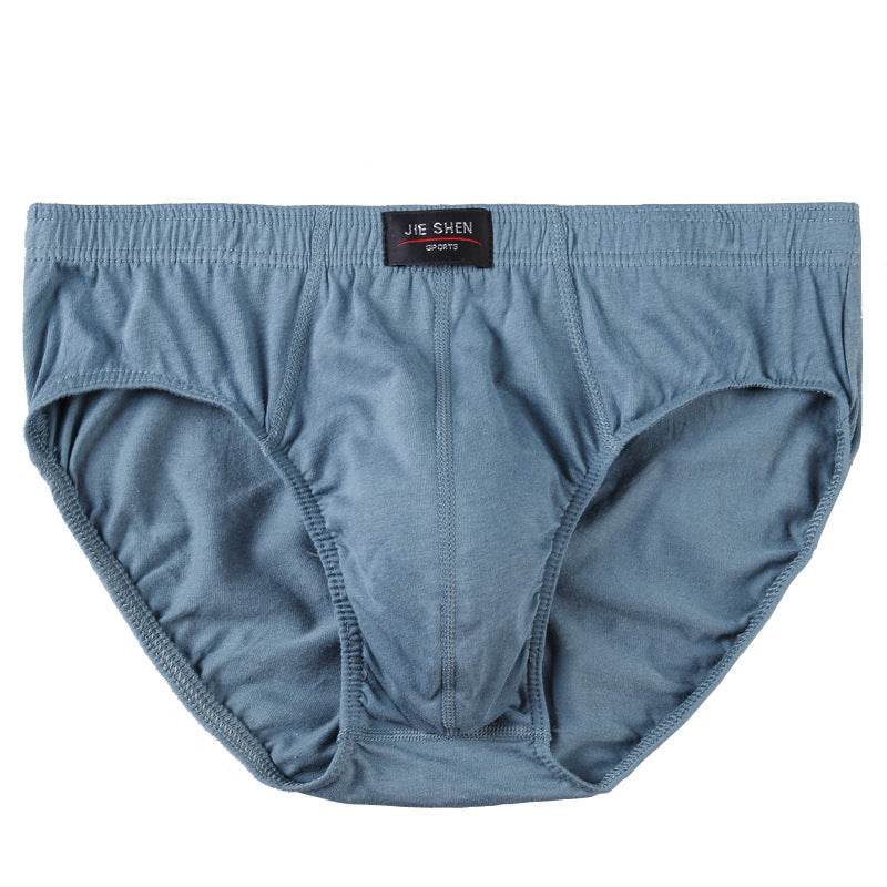 Men's Briefs Cotton Underwear