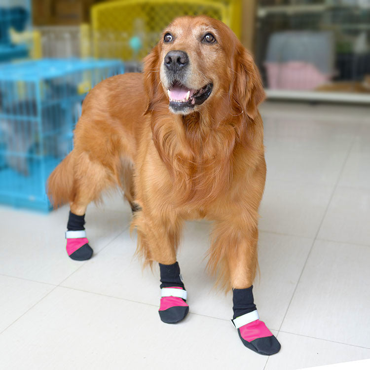 Super Tear-Resistant Oxford Pet Shoes