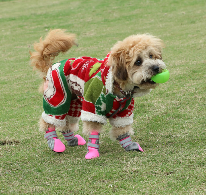 Dog Walking Shoes - Reflective Waterproof Pet Boots