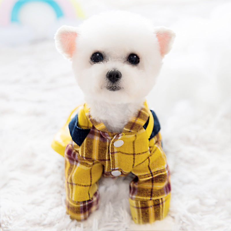 Sac à dos mignon pour chien, vêtements pour animaux de compagnie, automne