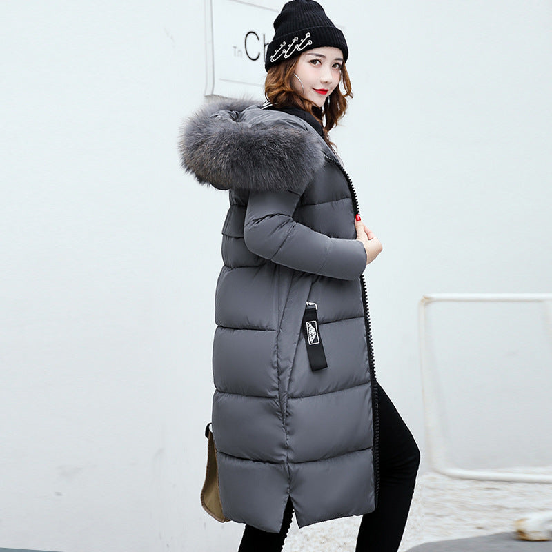 Long Cotton Jacket Hooded Big Fur Collar Down Jacket - Medium Length Casual Slim Fit Fox Hair