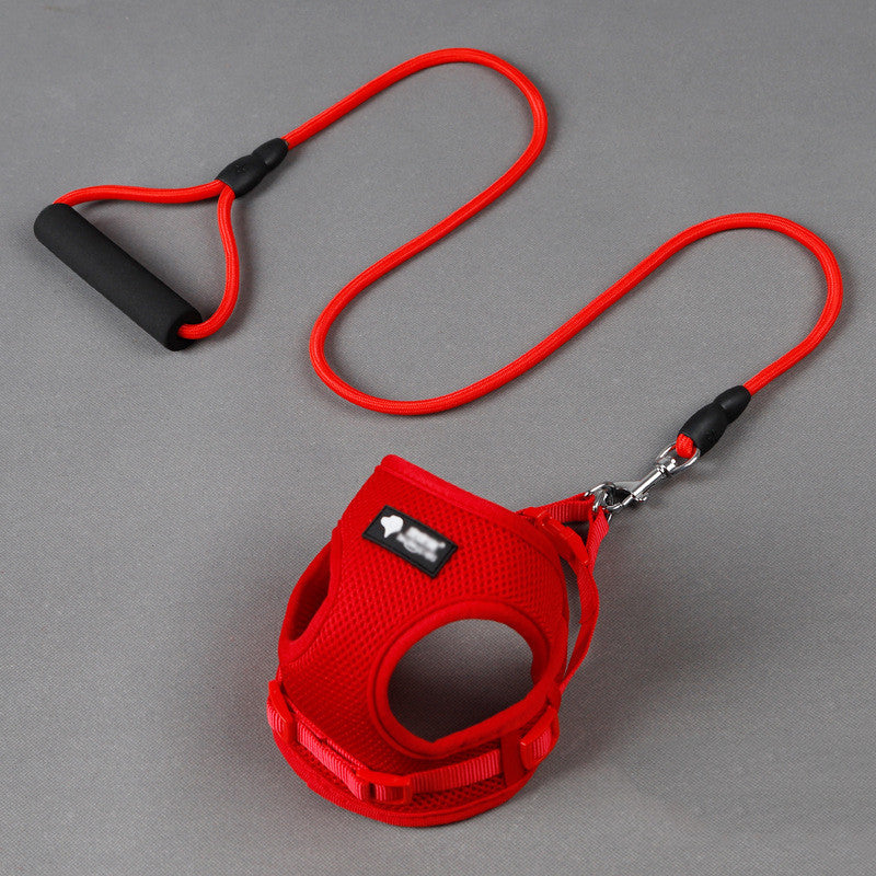 Hundkoppel hundkoppel hundhalsband