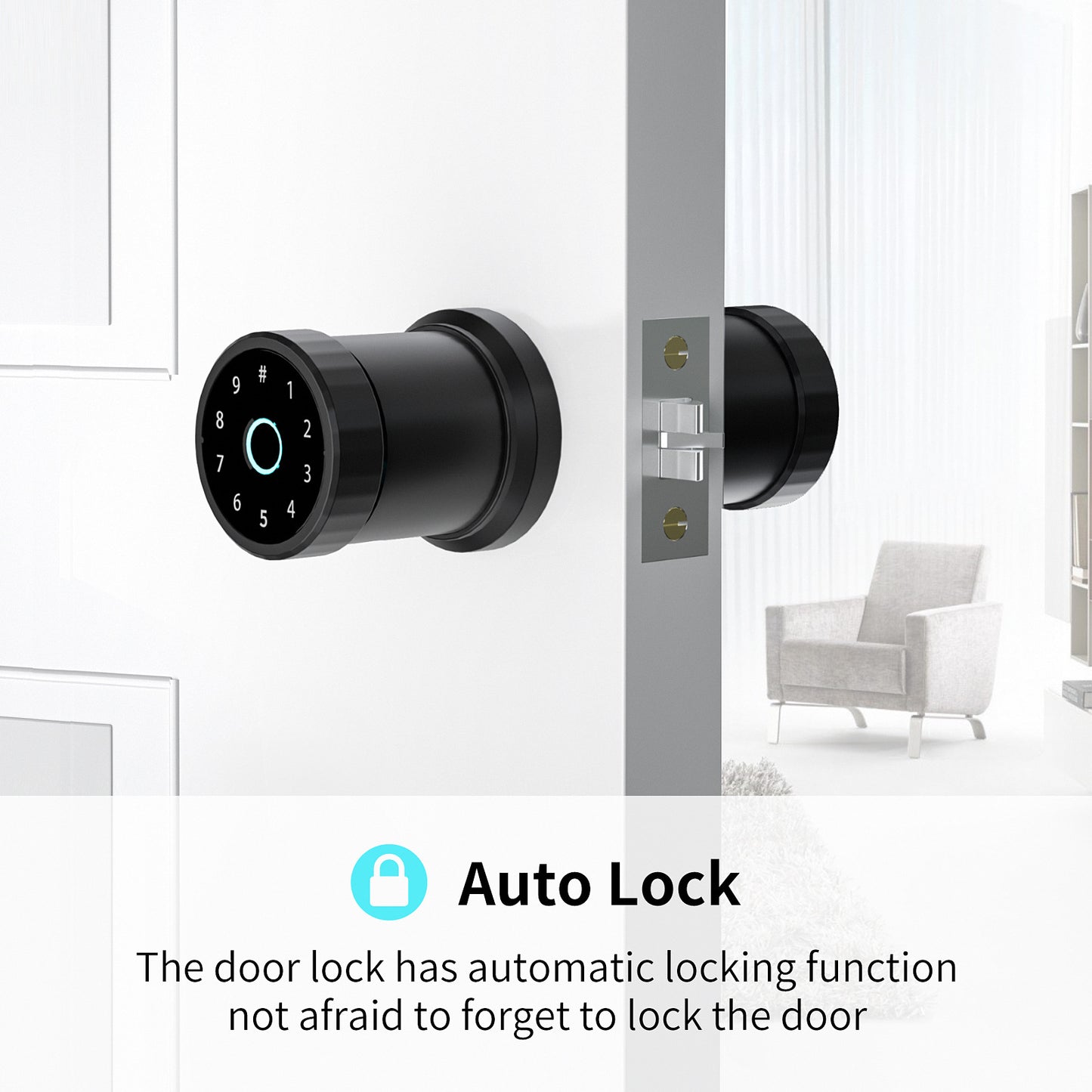Smart Lock Fingerprint Office Apartment Sfärisk