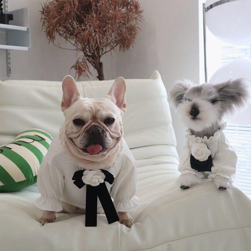 Nouveau Vêtements chauds pour animaux de compagnie camélia