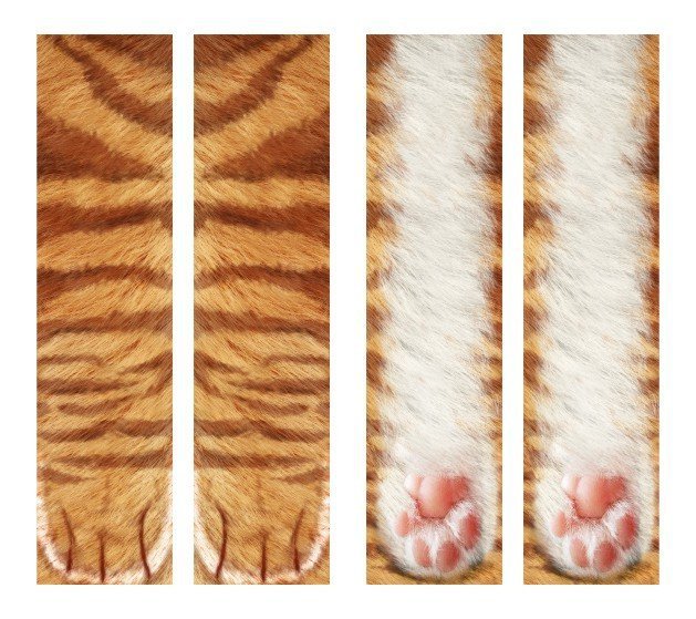 Chaussettes patte d'animal 3D chaussettes griffes de chat mignonnes chaussettes longues unisexes