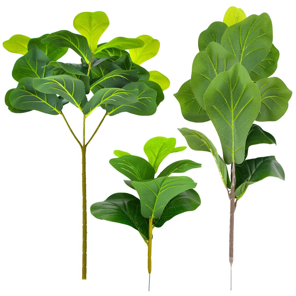 Nordic Style Potted Plants And Green Plants For Home Decoration
