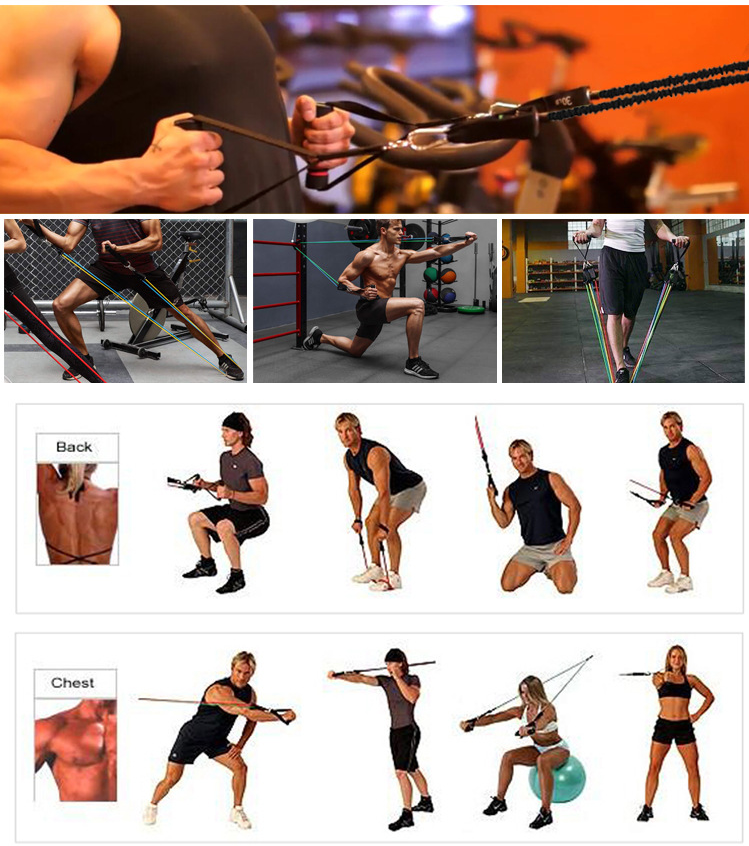 Professional Portable Fitness Rally - Complete Resistance Band System (5 Bands, 10-30 lbs, 1.2m Length)