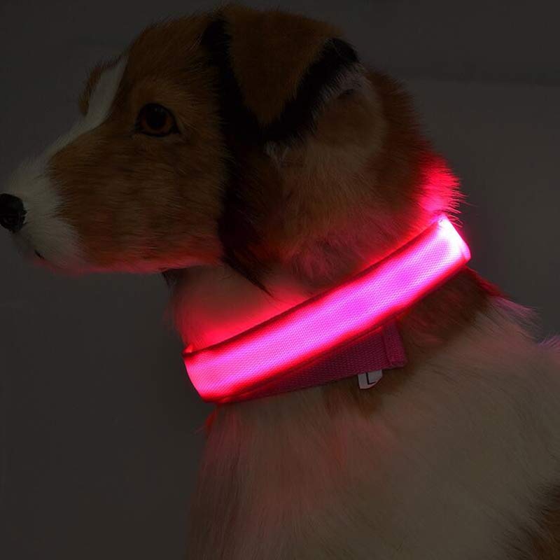 Nylon LED Hund Ljushalsband Nattsäkerhet Blinkande Glöd i mörkt Hund Kattkoppel Justerbara husdjurstillbehör