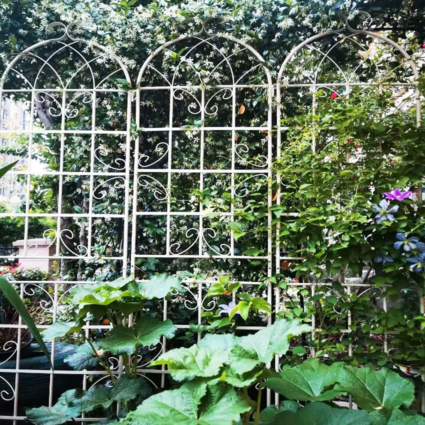 4 Pack Metal Garden Trellis 86.7x19.7 Rustproof For Climbing Plants Outdoor