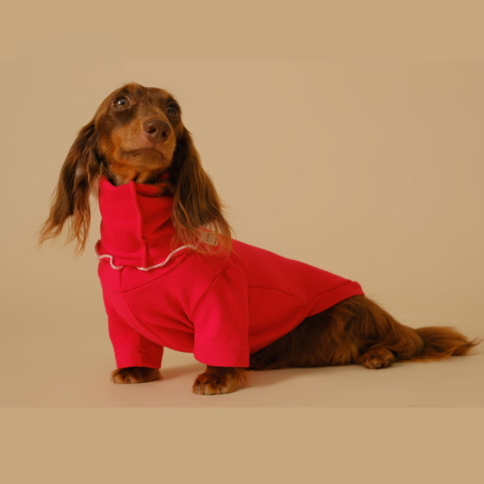 Manteau de base pour animaux de compagnie, vêtements pour chiens teckel