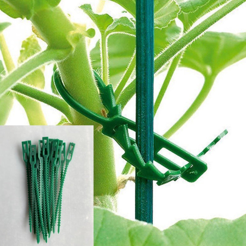 Cravate de jardin en arête de poisson polyvalente de 13CM, cravate de jardin verte, emballage de diverses quantités