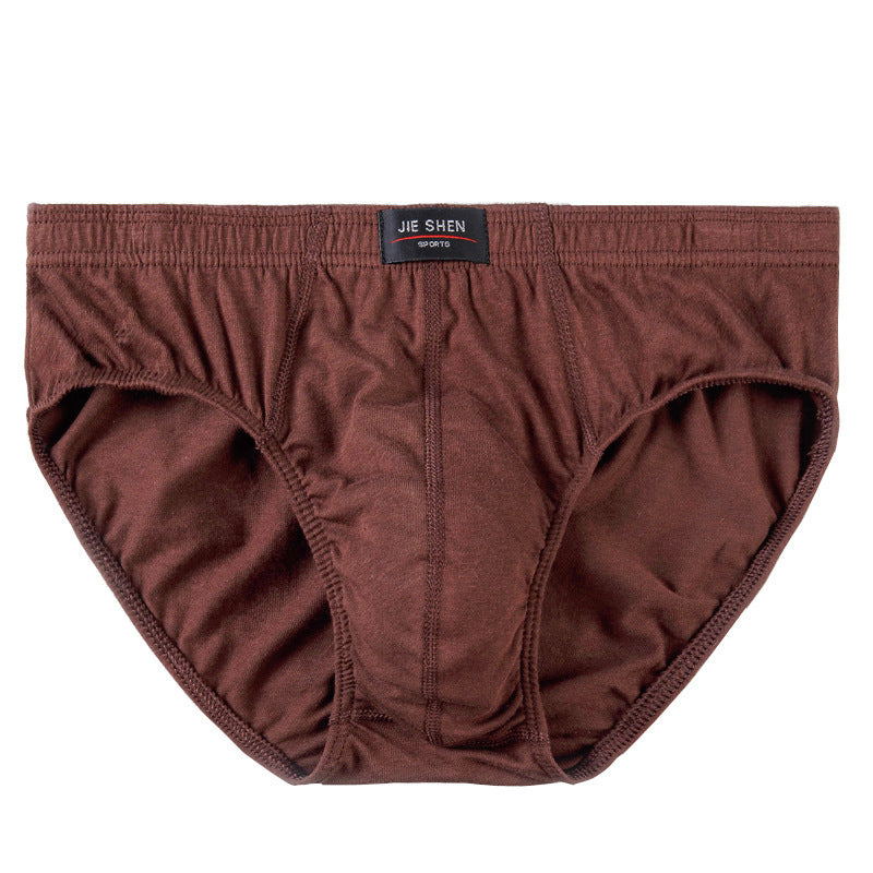 Men's Briefs Cotton Underwear