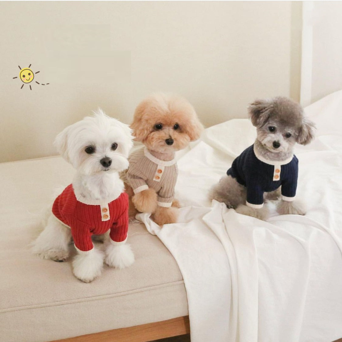 Vêtements décontractés pour animaux de compagnie, couleur contrastée, chat, chien