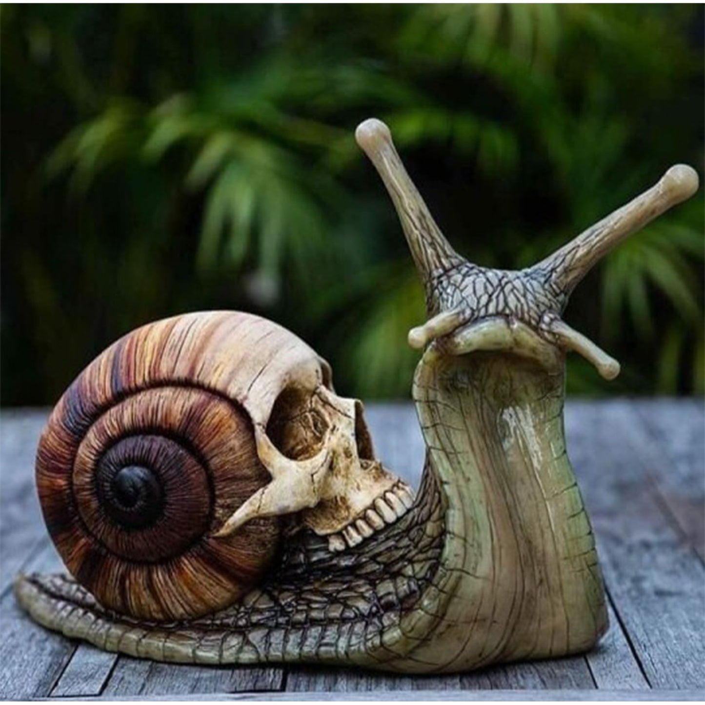 Escargot Crâne Sculpture Gothique Décoration Snigil Statue Patio Snigil Figur Artisanat Ourlet Décoration Tillbehör Kawaii rhum inredning.